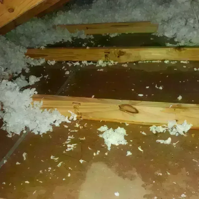 Attic Water Damage in Oceano, CA