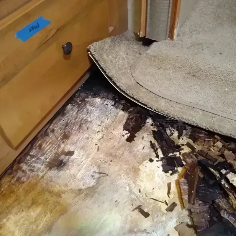 Best Wood Floor Water Damage Service in Oceano, CA